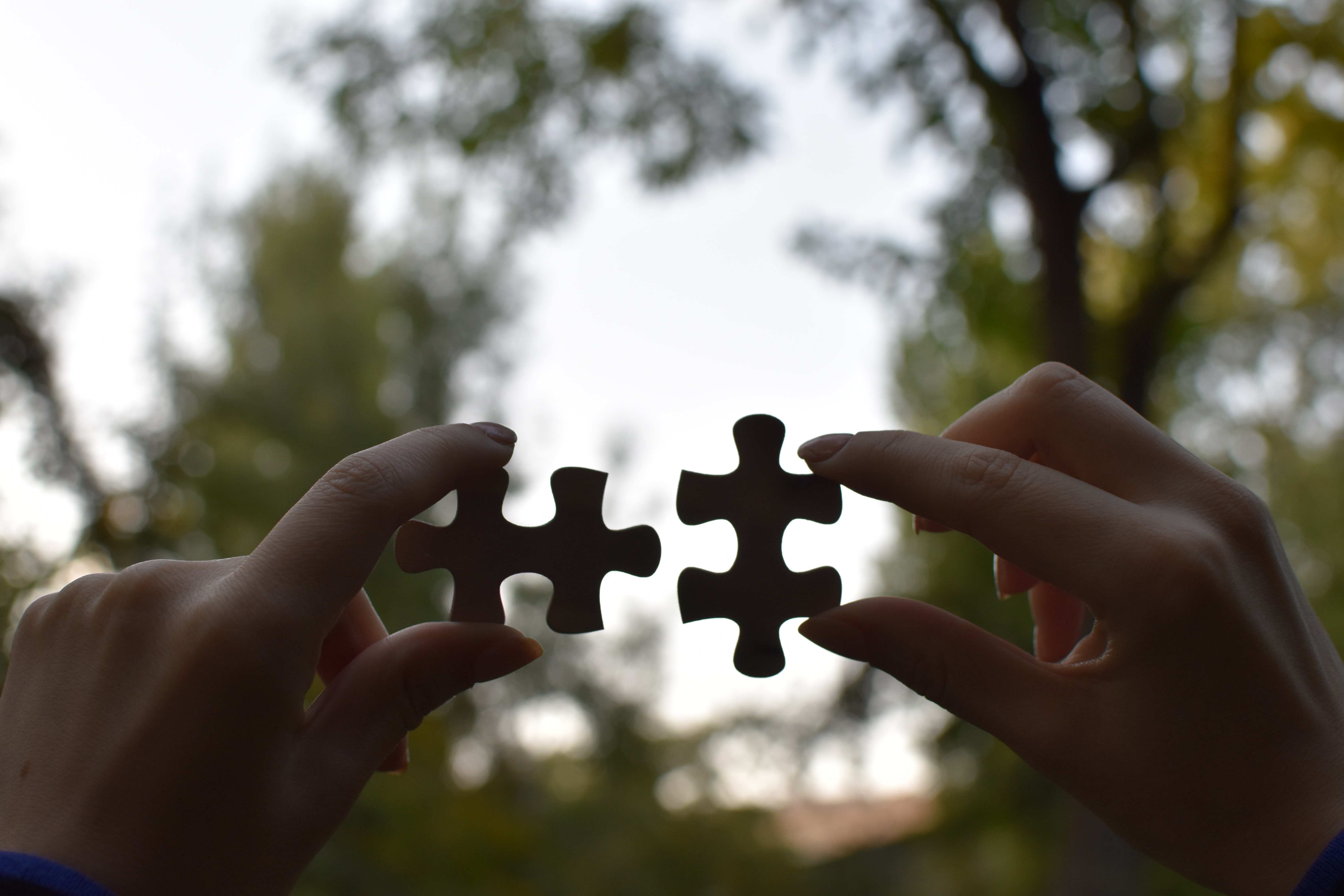 Hands holding up two jigsaw pieces to the light. Trees can be seen, blurred, in the background.